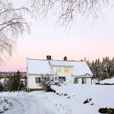 5 Person In Grimstad-by Traum